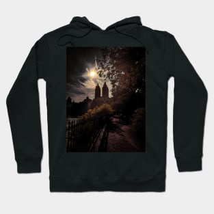 Central Park Sunset Manhattan New York City Hoodie